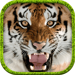 终极澳门威尼斯人wns777模拟器官方版下载-终极模拟澳门威尼斯人wns777游戏手机版下载 v1.5 安卓版