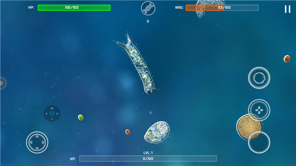 mgm美高梅官方网址模拟器怎么玩